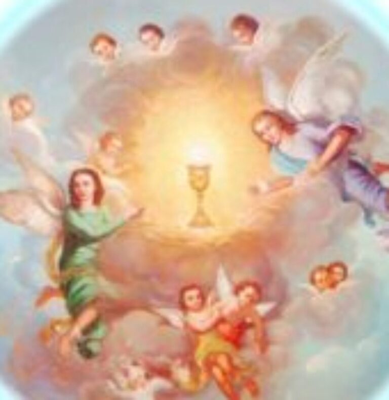 Che tristezza provo nel Cuore mio Amante al vedere il disprezzo, l’umiliazione e il sacrilegio, che riceverò da molti dei miei Pastori e dei miei Figli, quando le mie Case saranno riaperte! Vi dico che il mio Sacrificio non sarà più lo stesso